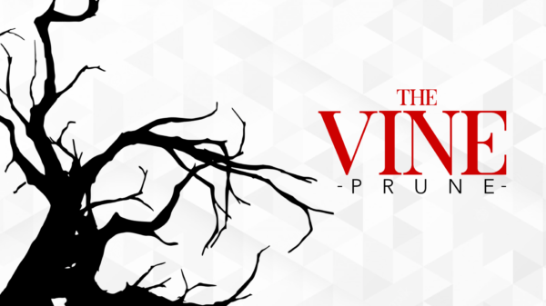 The Vine: Prune